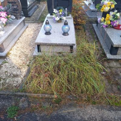 Img 20191019 1209421