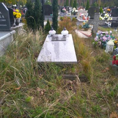 Img 20201022 154412 2